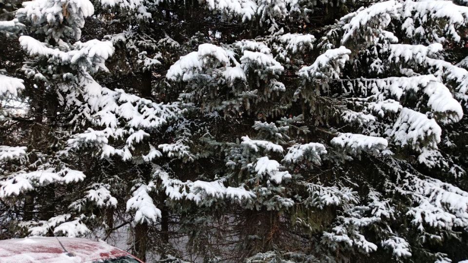 ����� ������� � �������� ������� � ���������� ��������