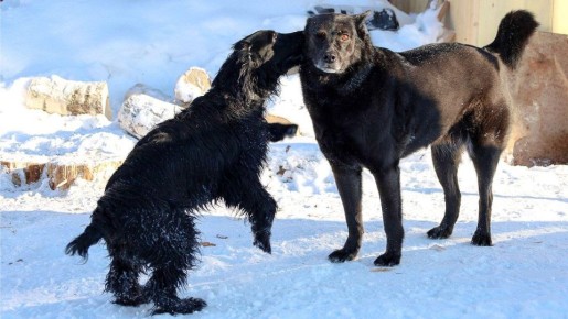 ����� ���� � �����: ���� ���������� � ����� ��������� ������� �� ����� ����������� ������