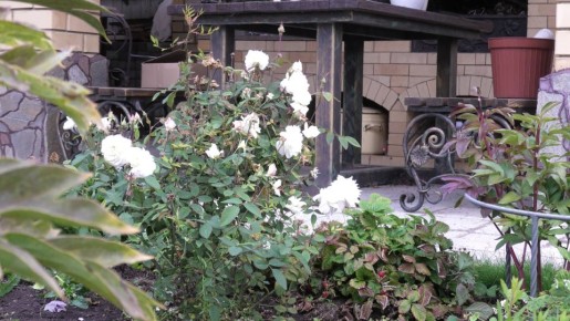 ��������� ����: ��� ����������� � ����� ��������� ��������