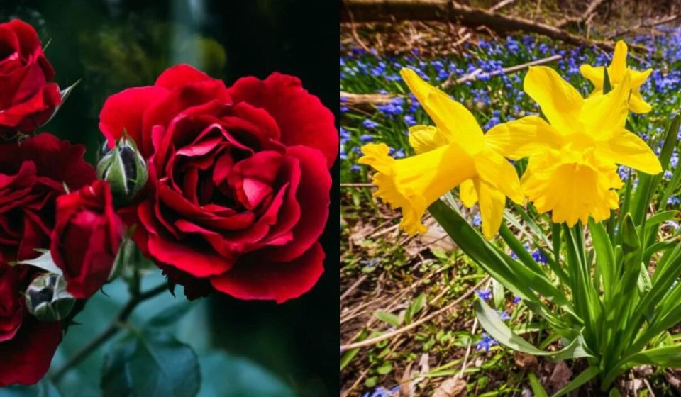 ����� � ������: ����� ����� ������������� ������ ������� ��������?