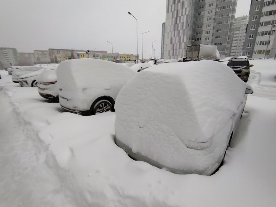 ����� ������� ������: 40-50 ����������� ������� ������� � ��������� 7 �����