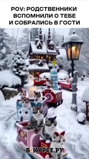 �������� ���������� �� �� �����.��