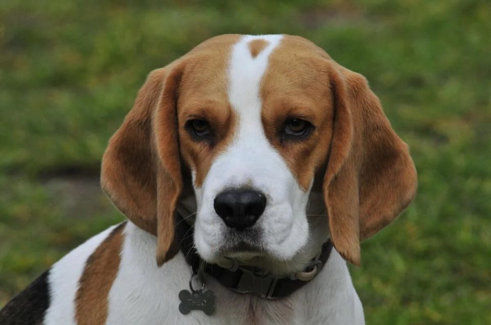 ������ ��������� ������ ����� �� �������� ��� ����� � ��������