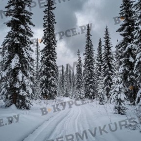 С 6 по 9 января в Перми ожидаются температурные колебания и снегопады