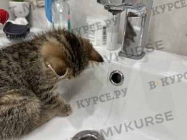 Из-за утечки из земли в центре Перми без воды остались жилые дома, офисы, кафе и магазины