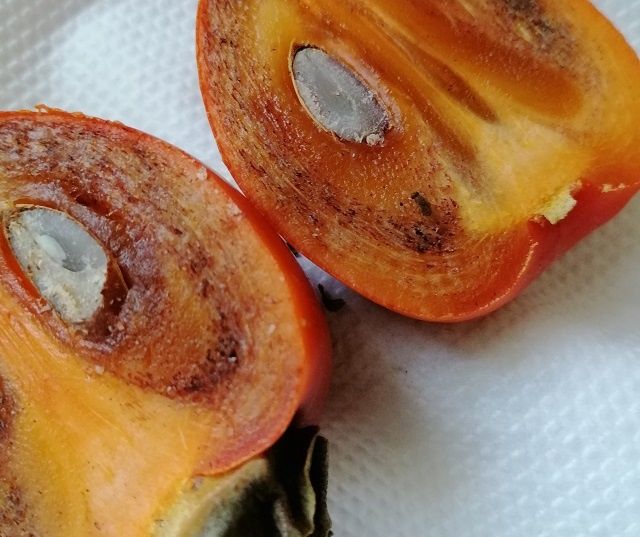 ��� ���������� �� ����� � ��������: �������� ������ � ��������