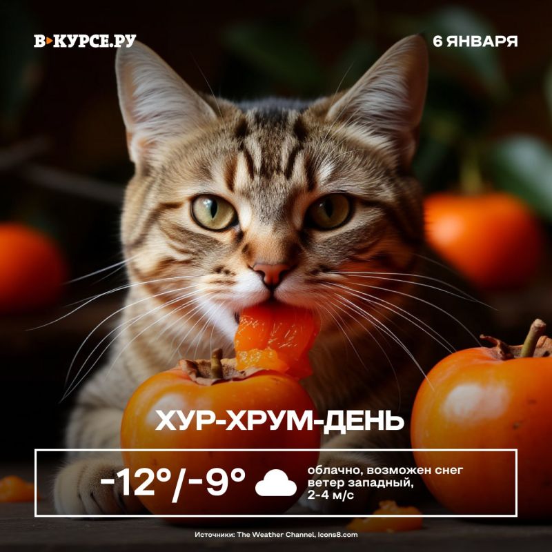 ������ ����, �����! �� ����� ������� ����� -9 ��������