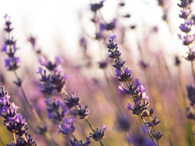 ������� �����: �� ������ ��� �������, �� � ��� ���������