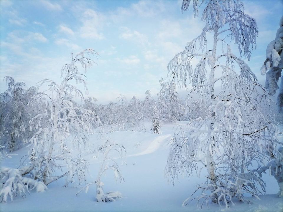 � 7 �� 9 ������ � �������� ��������� ������� ��������� ����������� � ���������