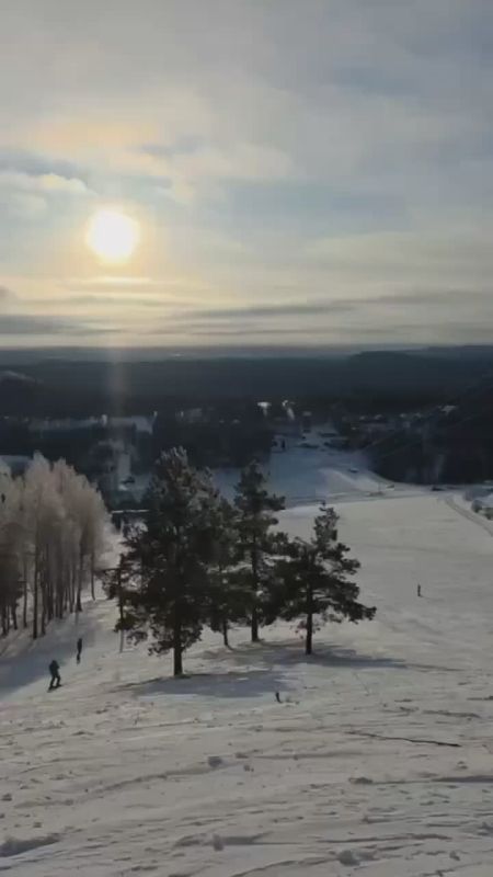 ������� ������� Robinson R44 �������� �������� � �������� ���� � ���������� ������������ � ���