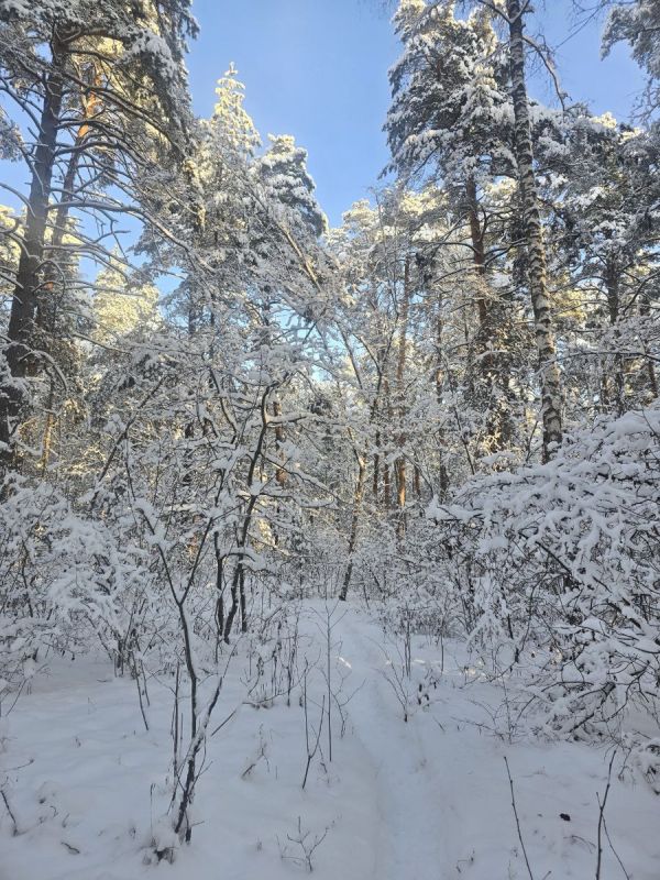 �������� �������������: ��������� � �������� ��� ���������� ���