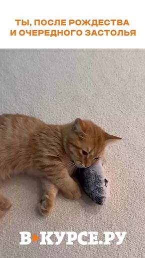 �������� ������� �� �� �����.��