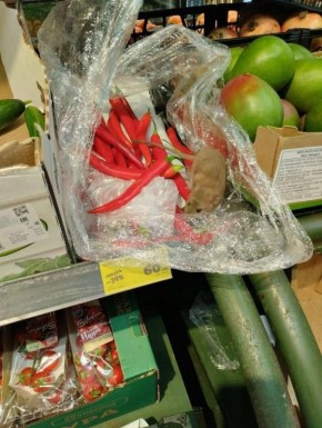 Крысы атаковали Пермские супермаркеты