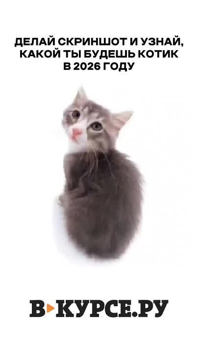 ��������, ������������� �� �� �����.��