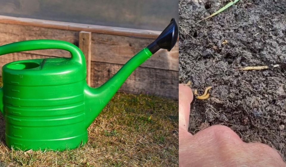 ����������� ��������� ������ � ������������� ������: ������ ������������