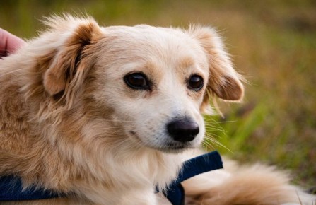 ���������� ���������, ��� ������, ���� ����� ������ � ����� ����