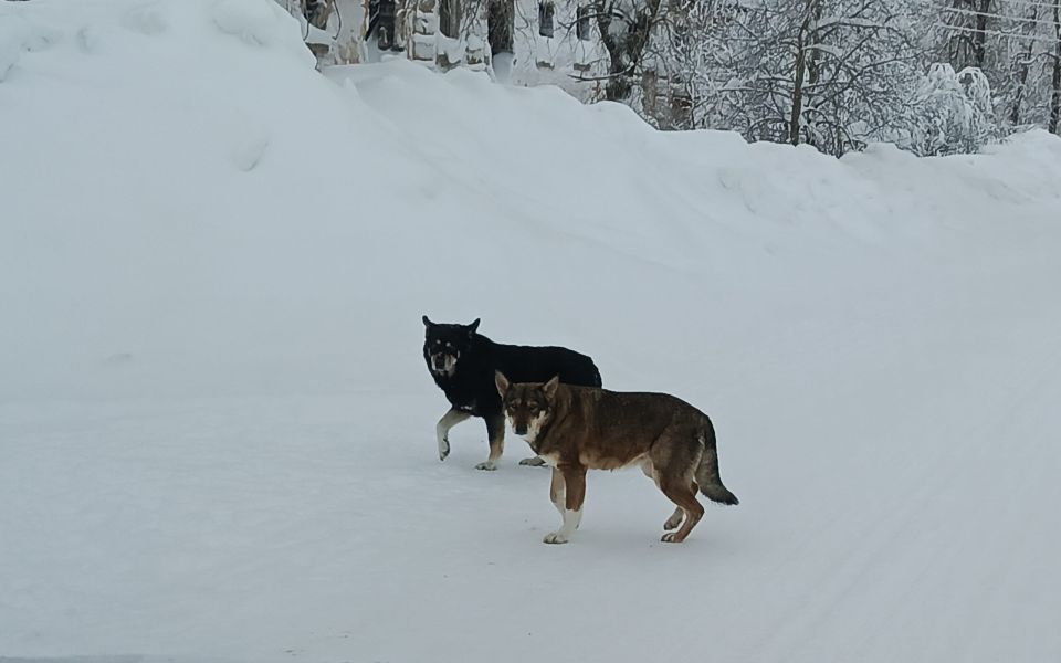 � �������� ����������� ������ ��������� ���� �� ������ ��������� ����� �� ������� ������� ���������