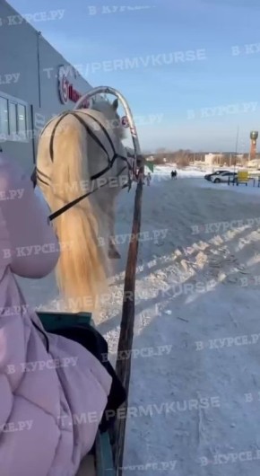 ������ �� �������� ��������� ������� �� ����� �� ����� �������