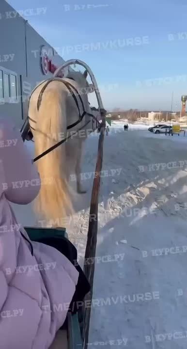 �� ����� ������� �� ����������� ����� � �������� ������ ��������� ������� �� �����