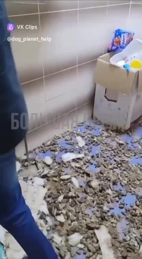 ���������� ������ � 30 ������ ��������: ������������ ��������, ��� �������� �� ���������� ������� ������ ������ �������� ������������� � �����