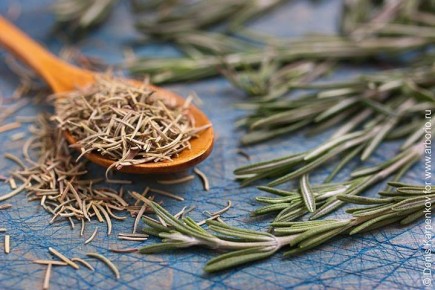 ������� ������ ���������: 10 ������������� ������ � ������� �������� �����