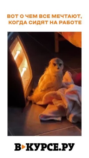 �������� ������� �� �� �����.��