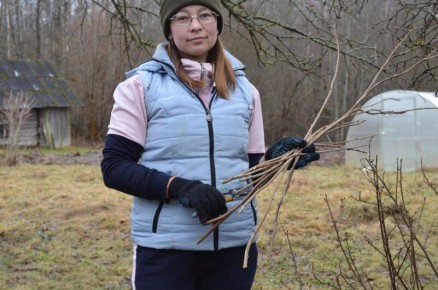 ��� ��������� ���������� ������ ���������: ������ � ��������