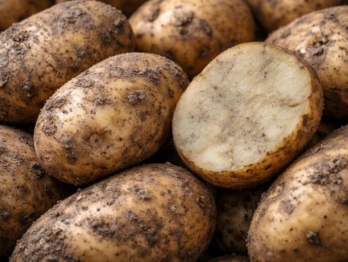 ��� �������� ������������� �������������: �������� ����� ��� ���������� �����