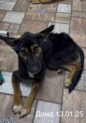 Сегодня погибла самая тяжелая маленькая пациентка врачей, вывезенная из скандального приюта