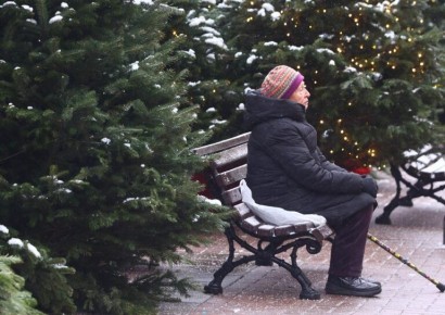 ���������� �������� 2026 ����: ��� ����� ����� ���� ���������