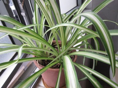 �������������� ��������: ��������� ����� ��� ���������� ����������