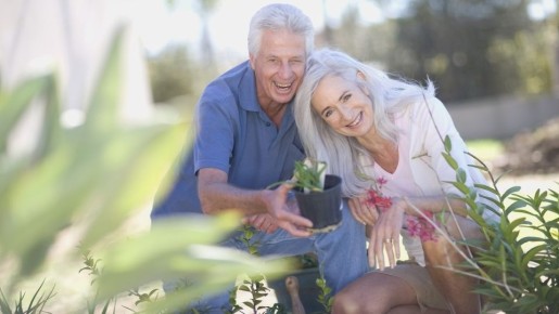 �� ���������� ���������� �� ���� �����: �������� �� ������� ����� ����� �������