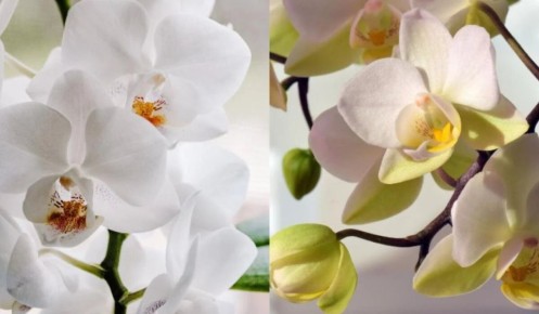 ���������� ������ ��� �������� �������