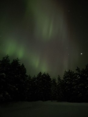 �������� ������ ��������� �� ��������� ����