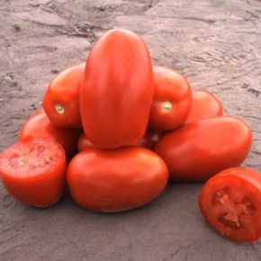 ������������� ����� �������: ��� ����������� ������ �������� ���� �� ��������