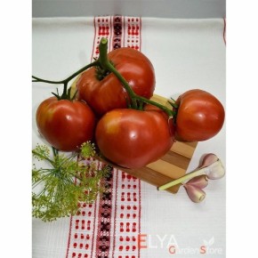 ����� ������ ���: ������������� ����, ������� �������� �����������