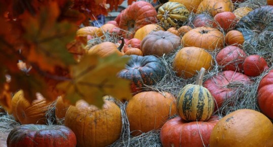 ��������� ����: ����� ������� ��������, ��������� �������� ���������