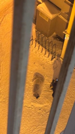 ���������� ���� ������� ������� ��� ������ ����������� �� ����� ��������