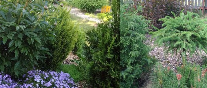 ��� ��������� ����������� ������� �������� � ����?