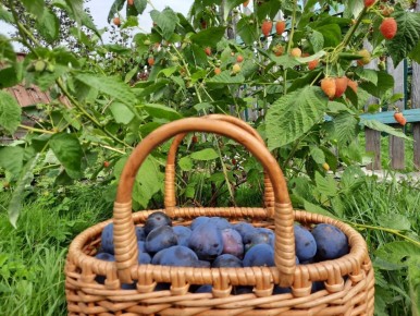 ��� ���� ���� ���������� ������ ������ ��� �����: ��� ������� �� ��������