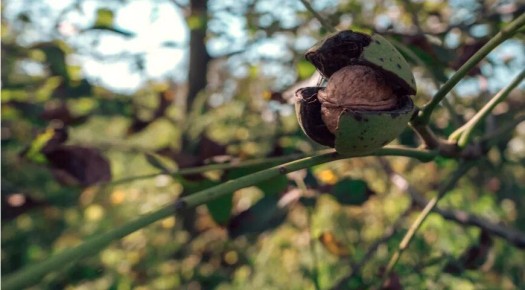 ������� �����: �� ������������ �������� � ������ �� �������������