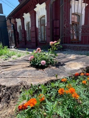 бизнес и природа: как предприниматели иногда забывают об экологии