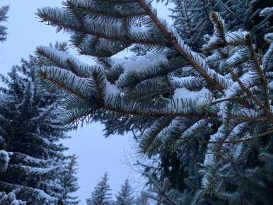 -40°C зафиксировали сегодня в Прикамье
