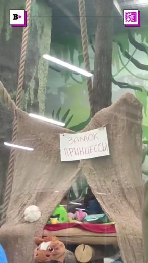 ��� �������� ���� ���� �� ����� ��������� ����