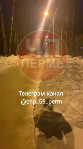 ����� �������� �������� � ��������� ���� ��������� �� �����