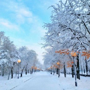 ��������������� ��� ���������� ����� �� ������ ������������� ���� �� �������� ������