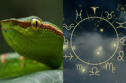 ��� ���������� ����: ��� ������� ������� ����� �������