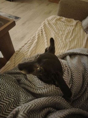 ������� ��� ������������, ��� 26 � 27 ������ ������� � �������� ���� ��������� ��������� �������� ������ �� �������������� ������������ ������� ���� ������������� ����� �� 7�� � �����