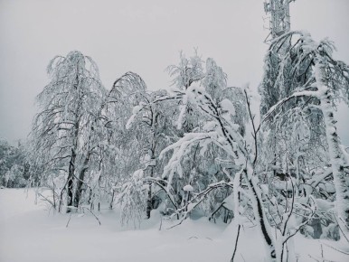 ��������� �������� ������ ���������� � �������� ����