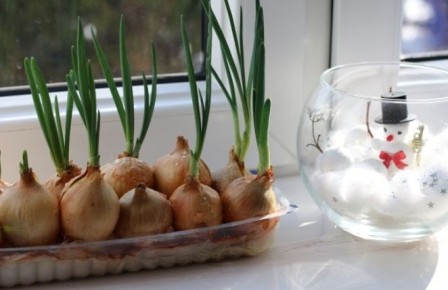 ������, ��-�� ������� ��� ��� �� ����������� ������ ���� � ��������